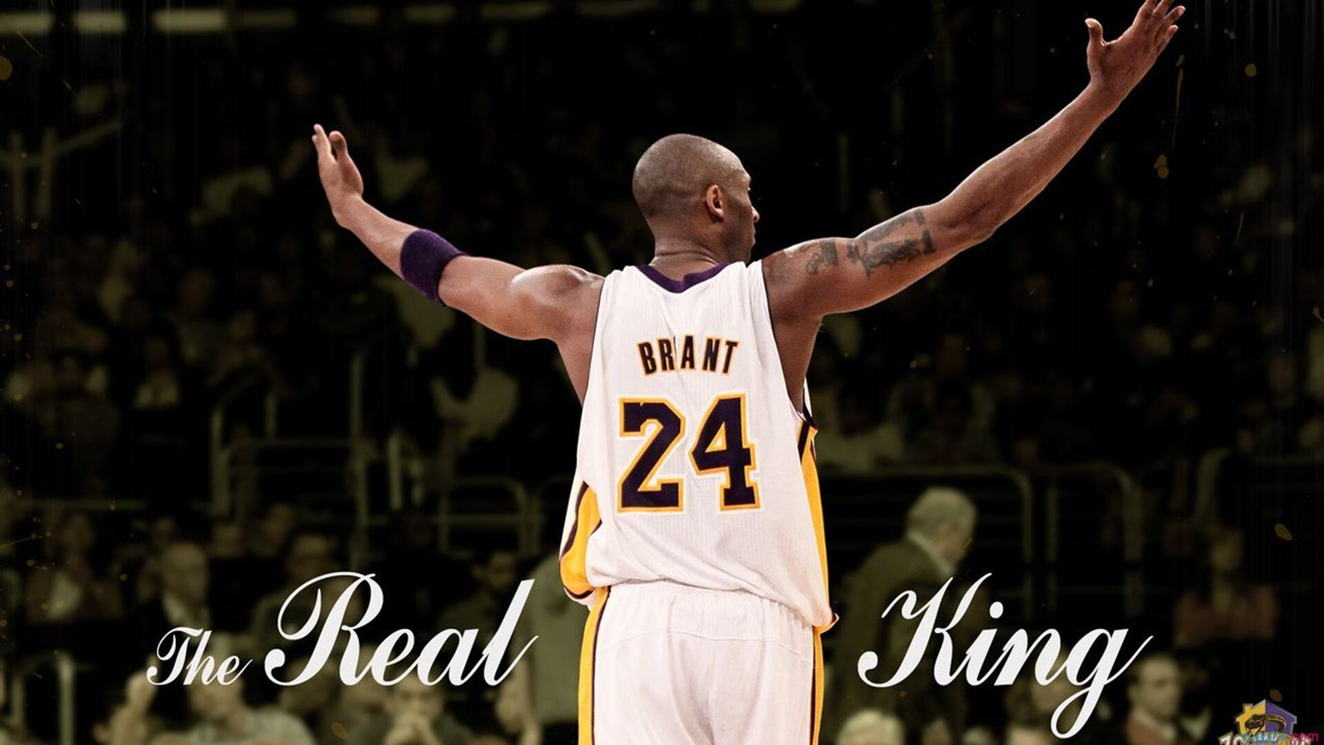 “马丁·高尔西引领美洲狮队防守革命,全面崛起”